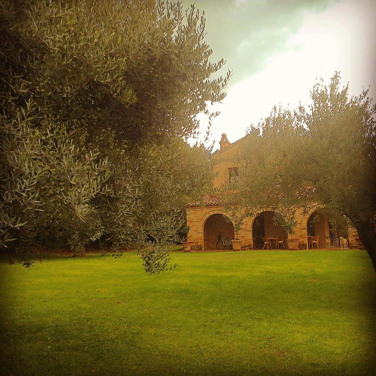 B&B La Casa Tra Gli Ulivi Civitanova Marche Exterior foto